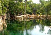 Coba Mayan Encounter